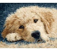 XDEGHUANGSS Chien animal Latch Hook Rug Kits for Adults Beginners,DIY with Printed Canvas Crochet Yarn Handmade Embroidery Crafts Crochet for Home Decoration,52x38cm -13