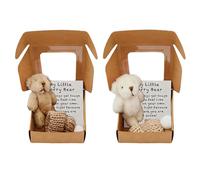 XDGBGFN My Little Worry Bear Lot de 2 mini ours en peluche de poche avec chapeaux et carte inspirante dans une boîte cadeau pour enfants, amis (marron et blanc)