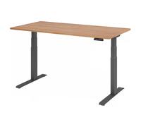 XDKB 16 G | Bureau - 160 x 80 Noyer réglable en hauteur électriquement