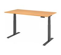 XDKB 16 G | Bureau 160 x 80 réglable en hauteur électriquement Hêtre