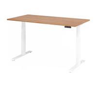 XDKB 16 W | Bureau - 160 x 80 Noyer réglable en hauteur électriquement