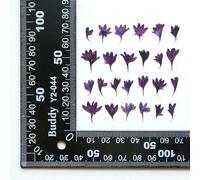 XDMING 120 Fleurs de centaurée Bleuet séchées et pressées pour Nail Art, Maquillage, Bijoux, Marque-Pages, Coques de téléphone, Cartes d'invitation, etc.