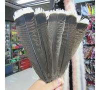 XDMING Plumes d'aigle Naturelles, 10 pièces, 25-30cm, Plumes d'aigle sélectionnées, décoration de Bijoux à Faire soi-même