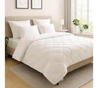 XDREAM Couette d'hiver pure - Couette chaude pour l'hiver - Convient aux personnes allergiques - Lavable à 60 °C - 100 % microfibre - Certifié Öko-Tex - 220 x 240 cm