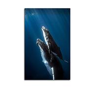 XDtiopiMY Poster sur toile sur le thème de l'océan bleu - Décoration murale amusante - Peinture sur toile - Baleine et mollet - Pour salon, chambre à coucher, bureau - Sans cadre - 30,5 x 45,7 cm