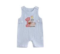 Xeadoffubio Bébé garçon fille1er anniversaire Combinaison rayée Tenue de shooting photo Sans manches Col rond Âge Broderie Bodysuits Décontracté Rayures Lin Barboteuse d'été (Bleu-K, 12-18 Mois)