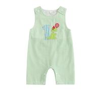 Xeadoffubio Bébé garçon fille1er anniversaire Combinaison rayée Tenue de shooting photo Sans manches Col rond Âge Broderie Bodysuits Décontracté Rayures Lin Barboteuse d'été (Vert-B, 12-18 Mois)