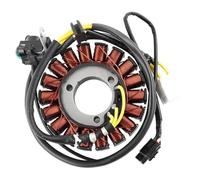 XEBRAD Bobine de Stator de générateur de Moto Comp for BR250 Z250SL ABS BX250 for 250SL BR 250, Plaque magnétique de Stator d'allumage Plaque de stator de Moto