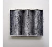 XEBRAD Filtre d'habitacle, for Hyundai, Santa Fe II 2.2 CRDi 2009-, for Hyundai, Santa Fe II (CM) 2.4 4x4 2010- OEM 97133-2b005 FT116 Filtre à Charbon Actif pour habitacle de Voiture