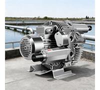 XEEAOFE Soufflante Vortex Double Fonction - Aluminium Aérospatial | Moteur en Cuivre Pur | Faible Bruit | 220/380V | 47/87m³/h | Pompe à Vide pour Soufflage d'air, Aération 380V/850W