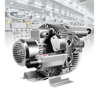 XEEAOFE Soufflante Vortex Industrielle avec Moteur en Cuivre Pur, Rotors Conçus avec Précision, Pompe à Vide Industrielle pour Déshydratation, Aquaculture et Dépoussiérage 220V/550W