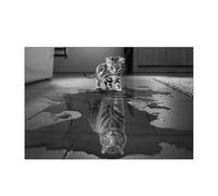 Xeme Chat Reflet Tigre Noir Et Blanc Micro Spray Impression Peinture À L'huile Personnalisée Noyau De Toile Murale Boutique En Ligne