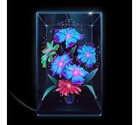 Xenia Rubinos – Una Rosa – CD