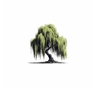 XENIOU Arbre De Vie Saule pleureur vert Art minimaliste tableaux, posters et arts décoratifs, Pour la maison, le bureau, la chambre(vert)-20x30cm Sans cadre