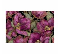 XENIOU Decoration murale fleurs, tableau décoration Art en trait de tulipe violette Moderne Decoration Murale Chambre Salle De Bain Cuisine Bureau(Multicolore)-40x60cm Sans cadre