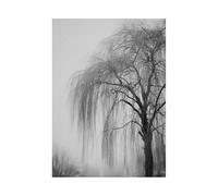 XENIOU Photo Noir Et Blanc Peinture de saule d’hiver toile decoration murale, Pour salle de bain, salon, chambre, bureau, cuisine.(noir et blanc)-80x120cm Sans cadre
