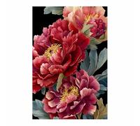 XENIOU Plante Fleur Tableau, poster mural Art de fond noir en pivoine rouge Pour salle de bain salon chambre bureau cuisine decoration maison(Poudre)-20x30cm Sans cadre