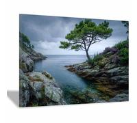 XENIOU Poster Mural Nature Une photo d’un arbre solitaire sur le rivage rocheux toile murale decoration, affiche, Salon Chambre Maison Décorations(Multicolore)-60x90cm Encadrée