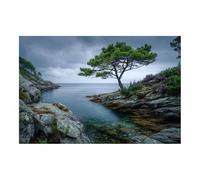 XENIOU Poster Mural Nature Une photo d’un arbre solitaire sur le rivage rocheux toile murale decoration, affiche, Salon Chambre Maison Décorations(Multicolore)-70x100cm Sans cadre