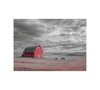 XENIOU Poster Noir Et Blanc Maisons de prairie et chevaux tableau toile decoration murale, Pour salle de bain, salon, chambre, bureau, cuisine.(noir et blanc)-70x100cm Sans cadre