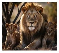 XENITE Impression sur Toile Peinture Affiches d'art De Famille De Lions Sauvages, Peinture sur Toile, Lionne avec des Petits Et des Amoureux, Décoration Murale pour La Maison(Une,50x70cm)