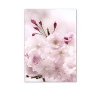 XENITE Impression sur Toile Peinture Affiches Et Impressions Minimalistes avec Citations De Fleurs De Cerisier Roses Art Mural Peinture sur Toile pour Salon Décoration D'intérieur Moderne(B,30x40cm)