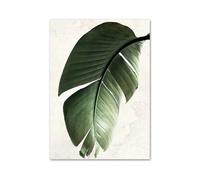 XENITE Impression sur Toile Peinture Peinture sur Toile Verte, Décoration D'intérieur, Feuilles De Monstera, Stickers Muraux pour Salon, Plantes Décoratives(Une,40X50cm)