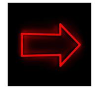 XENITE Néon Enseignes lumineuses Decor Flèche De Direction, Lumière Néon, Navigation, Décoration De Maison, Bar, Chambre, Entreprise, Magasin, Entrée, Direction(C,30X21cm)