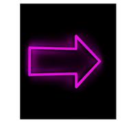 XENITE Néon Enseignes lumineuses Decor Flèche De Direction, Lumière Néon, Navigation, Décoration Maison, Bar, Chambre, Entreprise, Magasin, Entrée(Ré,22X16cm)