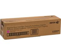 Xerox Tambour d'image WorkCentre 7220i/7225i Magenta Original 013R00659