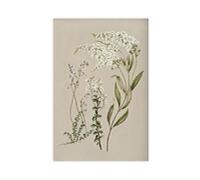 XFATGIA Poster sur toile motif plante de campagne française pour chambre à coucher, bureau, chambre, cadeau 20 x 30 cm