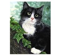 XFENDOUDOU Canevas Enfant Debutant Stitch Point De Croix Chat noir Kit de broderie au point de croix estampillé à faire soi-même 16x20inch