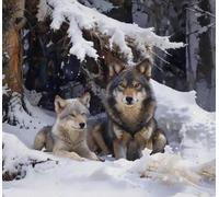 XFENDOUDOU Canevas kit complet adulte debutant demi point de croix Loup dans la neige Kit Canevas et Broderie Complet avec Fils à Broder 16X20in