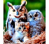 XFENDOUDOU Canevas Kit Complet Adulte Debutant Point De Croix Chat et oiseau Décoration murale, cadeau à faire soi-même 16x20inch