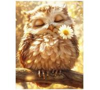 XFENDOUDOU Canevas Kit Complet Adulte Debutant Point De Croix Chouette avec une fleur dans la bouche Kit de broderie au point de croix estampillé à faire soi-même 16x20inch