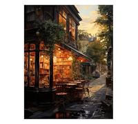 XFENDOUDOU Canevas Kit Complet Adulte Debutant Point De Croix Librairie chaleureuse Kit Canevas et Broderie Complet avec Fils à Broder 16x20inch