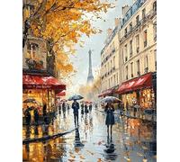 XFENDOUDOU Point De Croix Kit Complet Adulte Imprimé Les rues de Paris Kit Canevas et Broderie Complet avec Fils 16x20inch