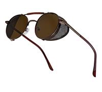 XFentech Steampunk Lunettes - Punk Rond Lunettes de Soleil Cyclisme Retro Polarisée Lunettes de Soleil pour Femmes Hommes, A1 Monture Marron - Lentilles Marrons