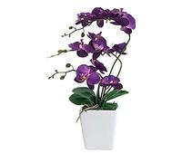 XFLSDHGD 15 "Phalaenopsis Artificiel avec Vase en Porcelaine Vase en Soie intérieure Orchidée Fausses Plantes en Pot Faux Fleurs Arrangements pour Table de Table de Table de Salon décor