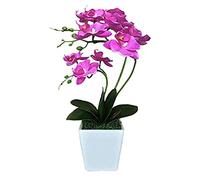 XFLSDHGD 15 "Phalaenopsis Artificiel avec Vase en Porcelaine Vase en Soie intérieure Orchidée Fausses Plantes en Pot Faux Fleurs Arrangements pour Table de Table de Table de Salon décor