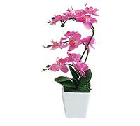 XFLSDHGD 15 "Phalaenopsis Artificiel avec Vase en Porcelaine Vase en Soie intérieure Orchidée Fausses Plantes en Pot Faux Fleurs Arrangements pour Table de Table de Table de Salon décor