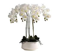 XFLSDHGD 3/6/10 têtes Orchidées artificielles Plantes en Pot Blanc pour décoration réel Touch Faux phalaenopsis bonsaï Arrangements pour la Maison/la fête parlous/Mariage