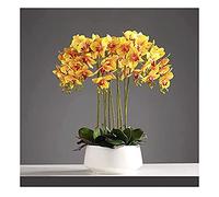 XFLSDHGD 3/6/10 têtes Orchidées artificielles Plantes en Pot Blanc pour décoration réel Touch Faux phalaenopsis bonsaï Arrangements pour la Maison/la fête parlous/Mariage