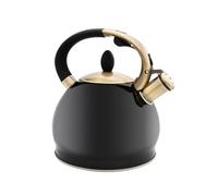 XFLSDHGD Cuisinière de cuisinière de poêle Bouilloire sifflore du thé Bouilloire Bouilloire siffler bouillonnement en émail de Bouilloire théâtre thermure en Acier Inoxydable bouillonnement