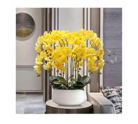 XFLSDHGD Fausse orchidée des Fleurs artificielles en Pot en céramique, Grande Silk phalaenopsis Arrangement de Fleurs Table centres de Table Floral pour Salle à Manger décoration