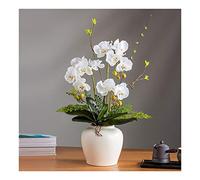 XFLSDHGD Fleur Artificielle avec Ensemble de Vase - Artificiel Orchid 3 têtes Phalaenopsis Foked Flowers Plant Orchid for Home Decor Table Centropiece Office Wedding Party Decoration (Couleur: Blanc)