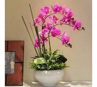XFLSDHGD Fleur artificielle Phalaenopsis Ornements en pot Fleurs artificielles Fleurs en soie Bouquet d'intérieur Décoration pour la maison Vase floral pour la maison, la table, le bureau, la
