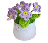 XFLSDHGD Mini Crochet Plantes en Pot