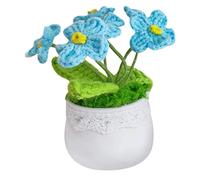 XFLSDHGD Mini Crochet Plantes en Pot