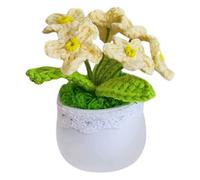 XFLSDHGD Mini Crochet Plantes en Pot
